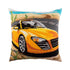 Needlepoint Pillow Kit "Texas"