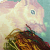 Needlepoint Pillow Kit "Squirrel"