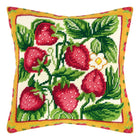 Needlepoint Pillow Kit 
