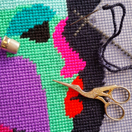 Needlepoint Pillow Kit "Mysteriousness"