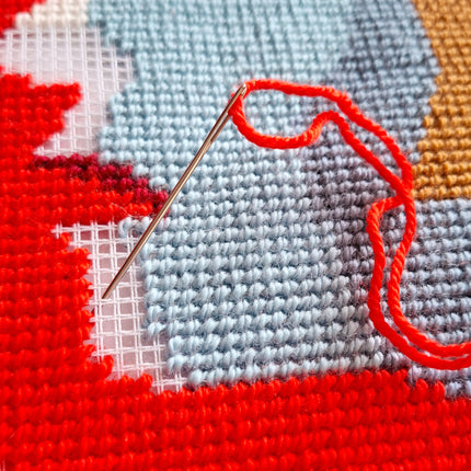 Needlepoint Pillow Kit "Astonishment"
