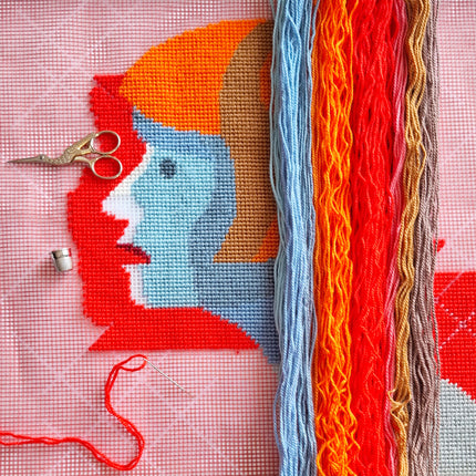Needlepoint Pillow Kit "Astonishment"
