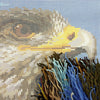Needlepoint Pillow Kit "Eagle"
