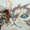 Cross Stitch Pillow Kit "Cat"