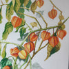 DIY Counted Cross Stitch Pillow Kit "Physalis"
