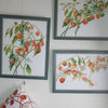 DIY Counted Cross Stitch Pillow Kit "Physalis"