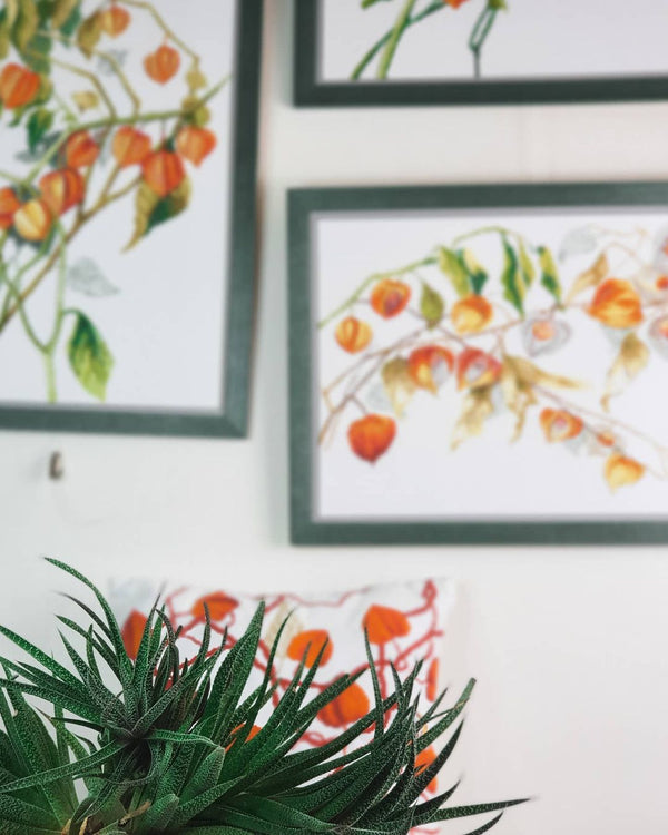 DIY Counted Cross Stitch Pillow Kit 