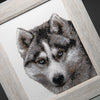DIY Beadwork kit "Husky"