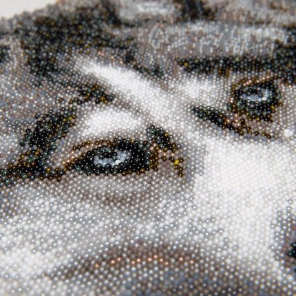 DIY Beadwork kit "Husky"