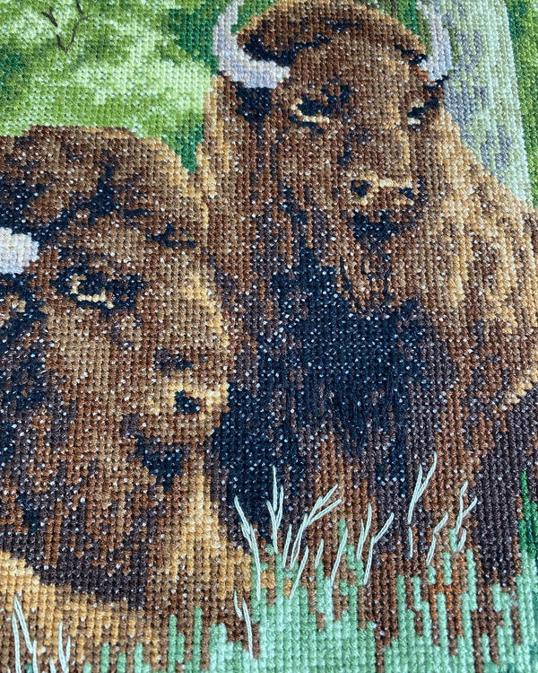 DIY Counted Cross Stitch Kit 