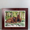 DIY Counted Cross Stitch Kit "Bison"