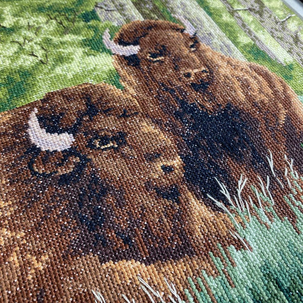 DIY Counted Cross Stitch Kit "Bison"