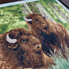 DIY Counted Cross Stitch Kit "Bison"