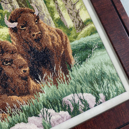 DIY Counted Cross Stitch Kit "Bison"