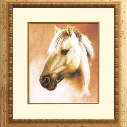 DIY Cross stitch kit with a printed canvas "Horse"