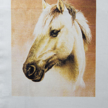 DIY Cross stitch kit with a printed canvas "Horse"