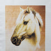 DIY Cross stitch kit with a printed canvas "Horse"