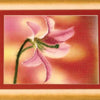 DIY Cross stitch kit with a printed canvas "Lily"