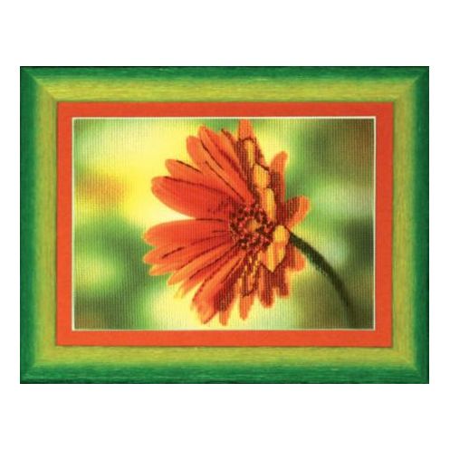 DIY Cross stitch kit with a printed canvas "Red daisy"