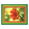 DIY Cross stitch kit with a printed canvas "Red daisy"
