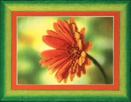 DIY Cross stitch kit with a printed canvas "Red daisy"
