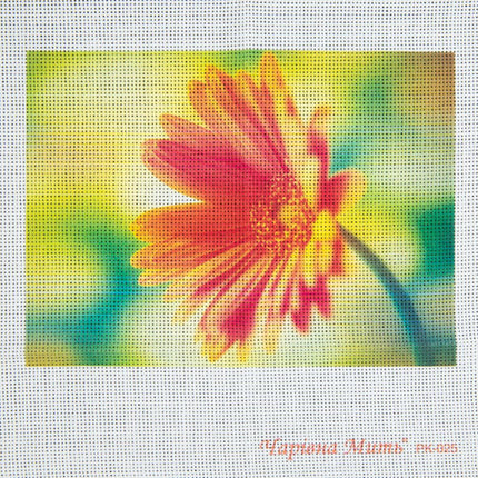 DIY Cross stitch kit with a printed canvas "Red daisy"