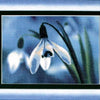 DIY Cross stitch kit with a printed canvas "Lily of the valley"