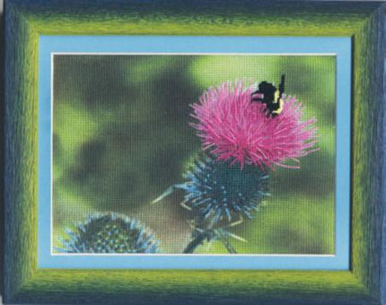 DIY Cross stitch kit with a printed canvas "Wasp"