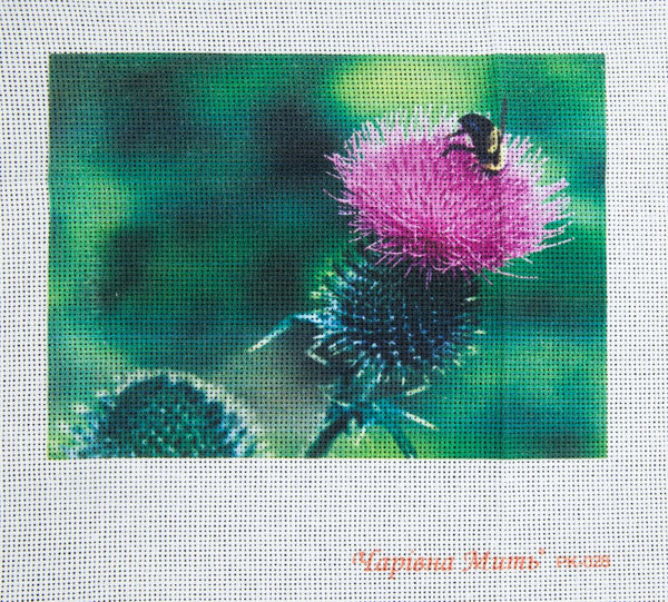 DIY Cross stitch kit with a printed canvas 