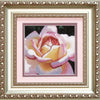 DIY Cross stitch kit with a printed canvas "Tea rose"