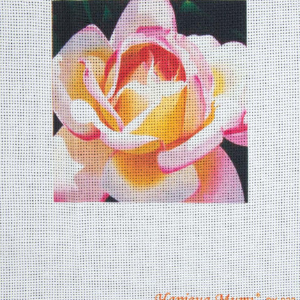 DIY Cross stitch kit with a printed canvas "Tea rose"