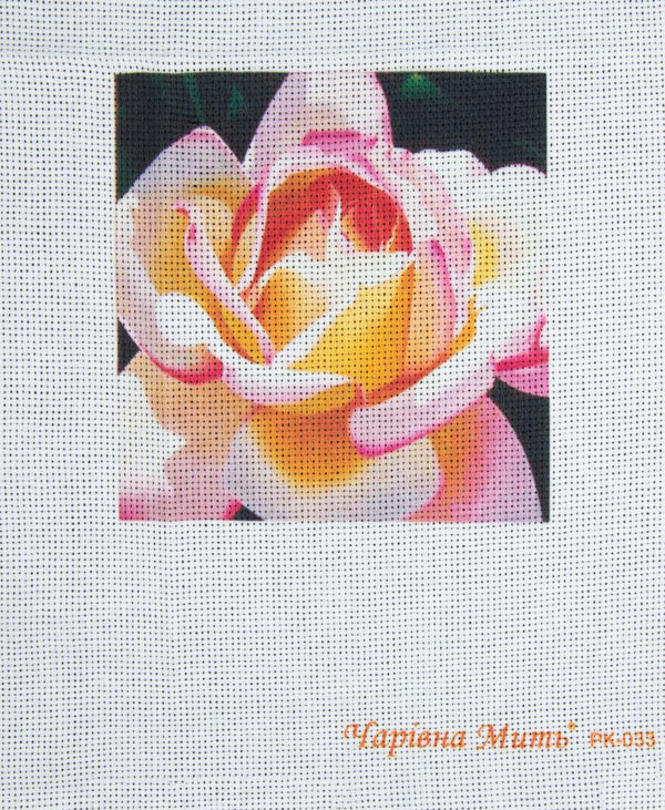 DIY Cross stitch kit with a printed canvas 