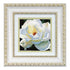 DIY Cross stitch kit with a printed canvas "White Rose"