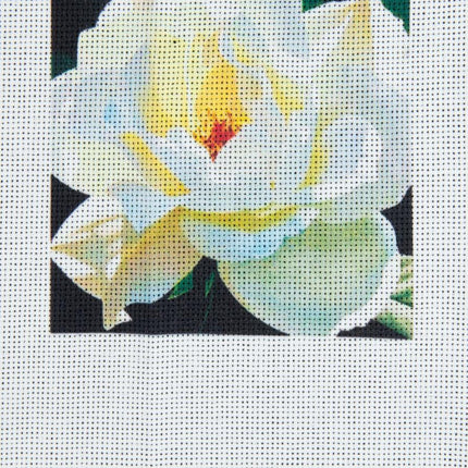 DIY Cross stitch kit with a printed canvas "White Rose"