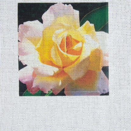 DIY Cross stitch kit with a printed canvas "Tea rose"