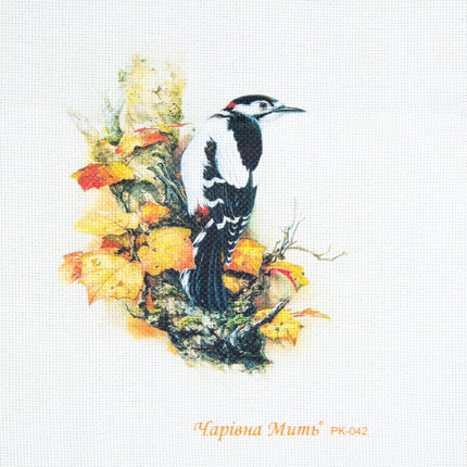DIY Cross stitch kit with a printed canvas "Woodpecker"