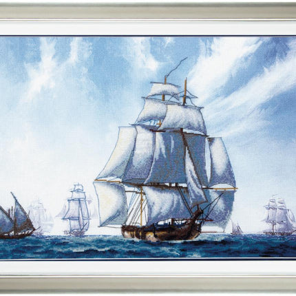 DIY Cross stitch kit with a printed canvas "Under the clear sky"