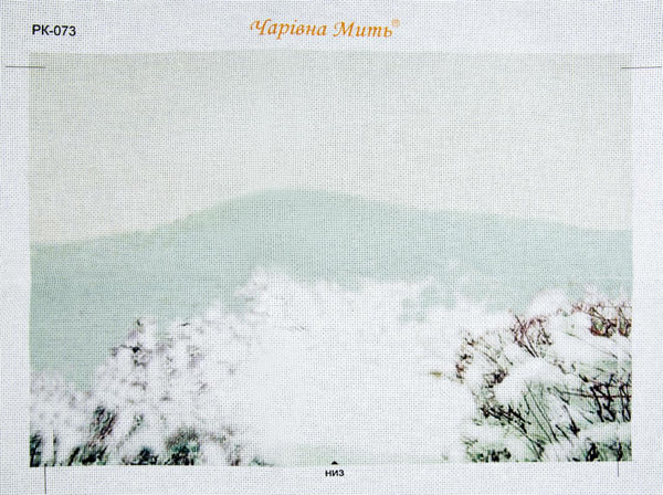 DIY Cross stitch kit with a printed canvas 