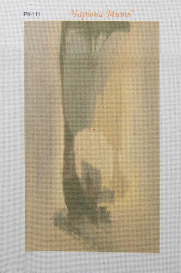 DIY Cross stitch kit with a printed canvas 