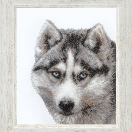 DIY Beadwork kit "Husky"
