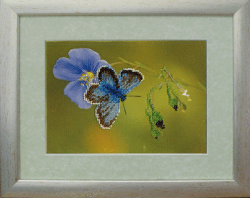 DIY Beadwork kit "Moth"