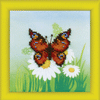 DIY Beadwork kit "Batterfly"