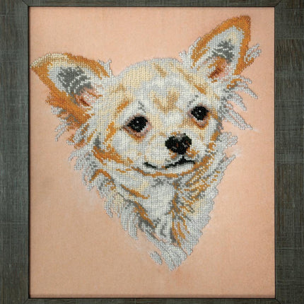 DIY Beadwork kit "Chihuahua"