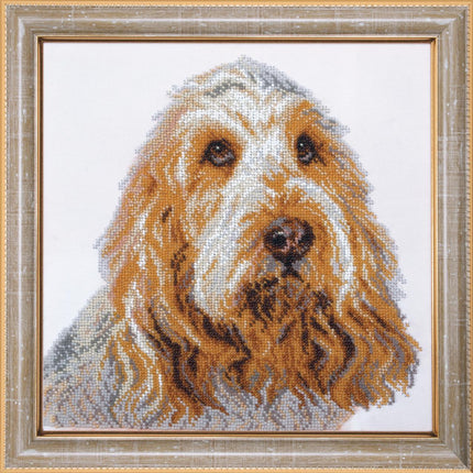 DIY Beadwork kit "Vendeen Basset Griffon"