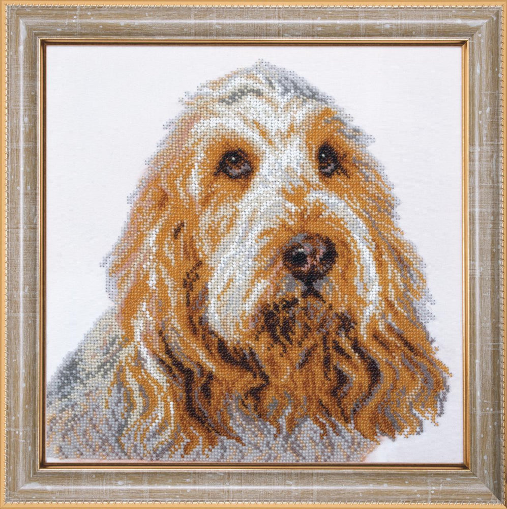 DIY Beadwork kit "Vendeen Basset Griffon"