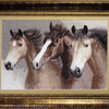 DIY Counted Cross Stitch Kit "Free horses"