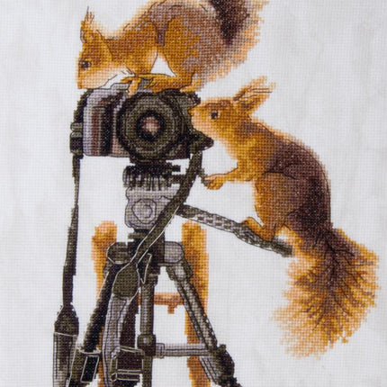 DIY Counted Cross Stitch Kit "Curiosity"