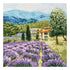 DIY Counted Cross Stitch Kit "Summer Provence"
