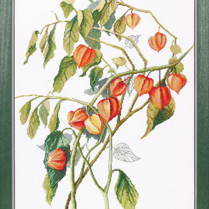 DIY Counted Cross Stitch Kit "Course of life"