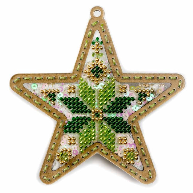 DIY Bead embroidery kit on a plastic base "Christmas star"